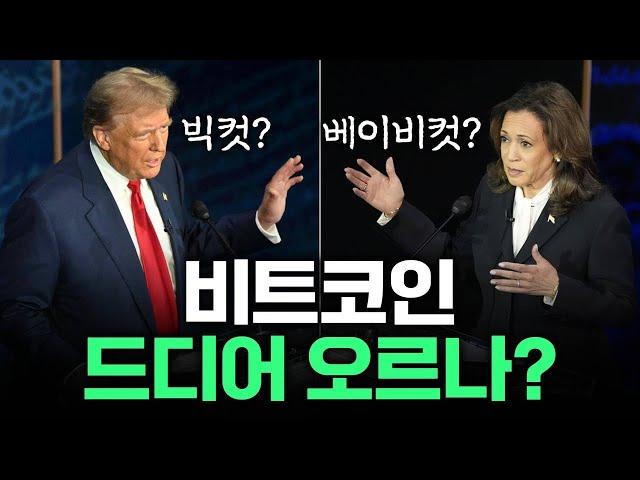 비트코인 다시 반등하나?