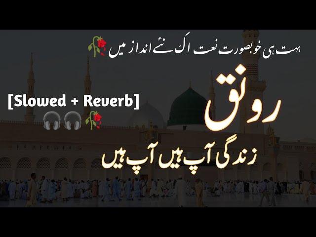 رونق زندگی یا نبی آپ ہیں️بہت ہی خوبصورت انداز میں[Slowed+Reverb]