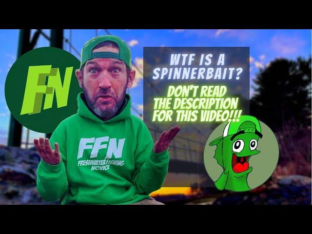 What's a Spinnerbait? (VS an in-line spinner) #freshwaterfishingnovice  #spinnerbait