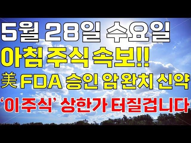 5월 28일 수요일 아침 주식방송ㅣ미국 FDA 승인 잭팟 터진 암 완치 꿈의 신약 제약바이오 '이 주식' 오늘 꼭 사세요. 개미 다 털렸고 급등 임박했어요! 상한가 터질겁니다!