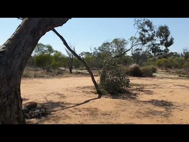 Buntine Rock Free Camp Wubin 3 hours North of Perth  Dogs allowed no toilet. Lots of sites.