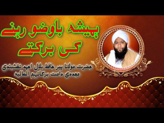 ہمیشہ باوضو رہنے کی برکتے  Shyakh Hafiz Bilal Ahmed Naqshbandi