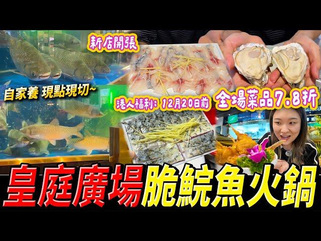 【深圳探店】皇庭廣場打卡大魚缸 人氣魚家王 自家養殖場 12斤重超大條中山脆鯇魚一魚多食粥底火鍋 #皇庭廣場 #福田美食 #會展中心站 #深圳好去處 #深圳美食