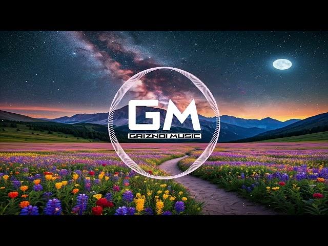 Midnight Revolutions | EDM | GM - Griznoi Music