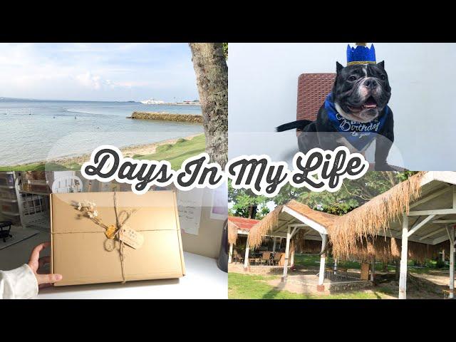 Days In My Life: Resin Orders, My Dog's Birthday, Beach Trip, Fieldwork