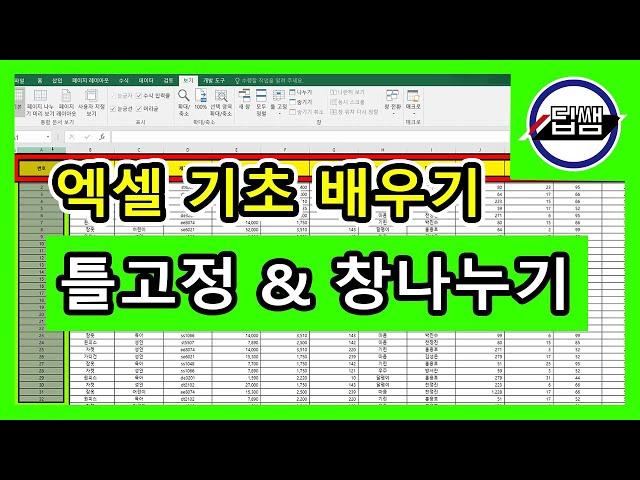 엑셀 기초 배우기▶틀고정, 창 나누기 (엑셀 화면 분할/엑셀 화면 나누기) (딥쌤)