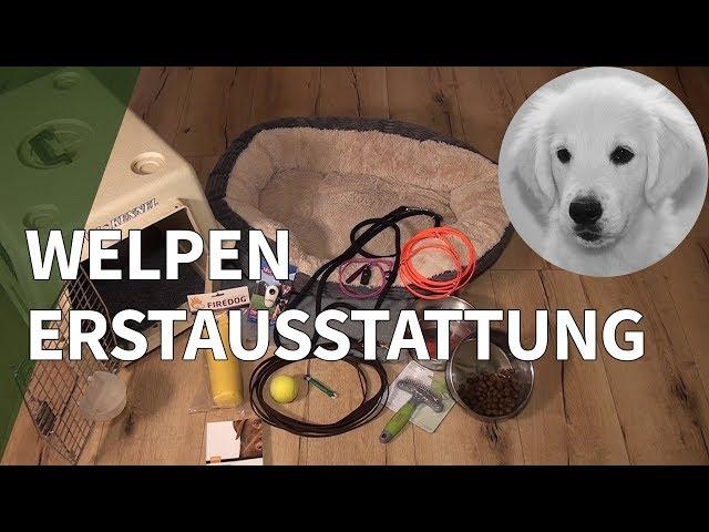 Welpen Erstausstattung ► Empfehlung für Welpen Zubehör und Hunde Erstausstattung