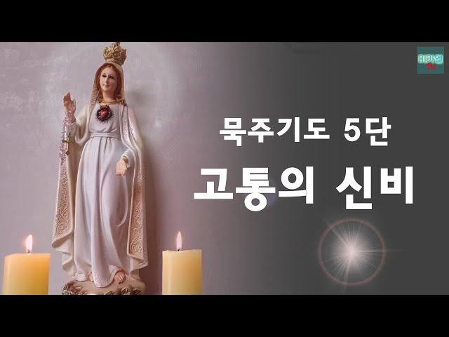 [5th stage of the Rosary] Mystery of Pain