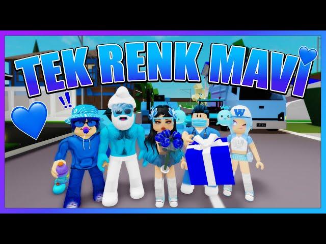 24 SAAT BOYUNCA TEK RENK MAVİ  ROBLOX BROOKHAVEN KÜBRA NİSA HAN KANAL