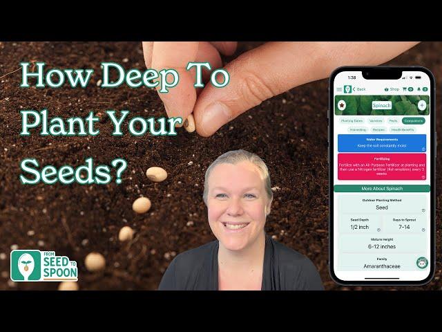 Planting Seeds The Right Depth With The From Seed to Spoon App
