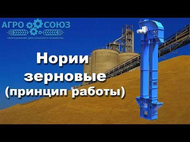 Нория зерновая (принцип работы) | Агро-Союз