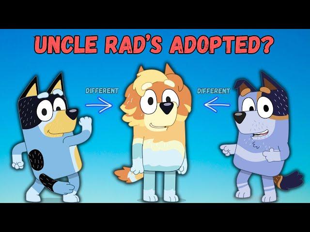 Why Uncle Rad Looks So Different ? Radley Bluey Heeler Theory