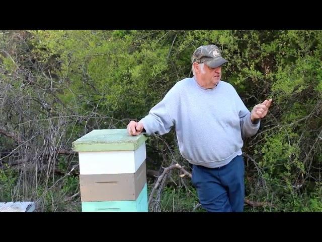 Fat Bee Man - Introduction to Beekeeping clips