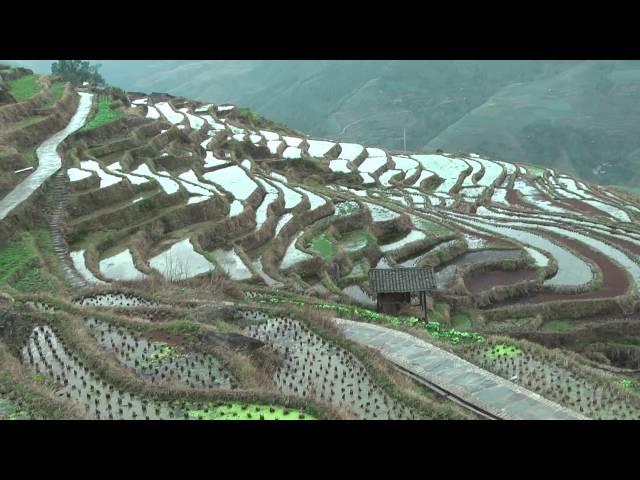 Hiking in the Lonji Rice Terraces - Ping'an to Old Longji