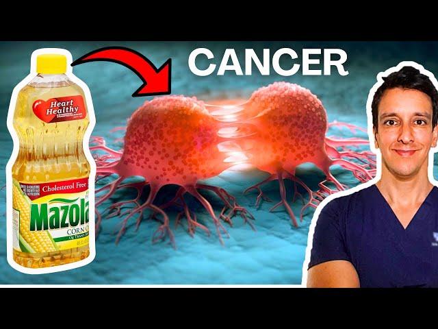 Seed Oils cause Cancer?!?  | Media headlines whip up panic