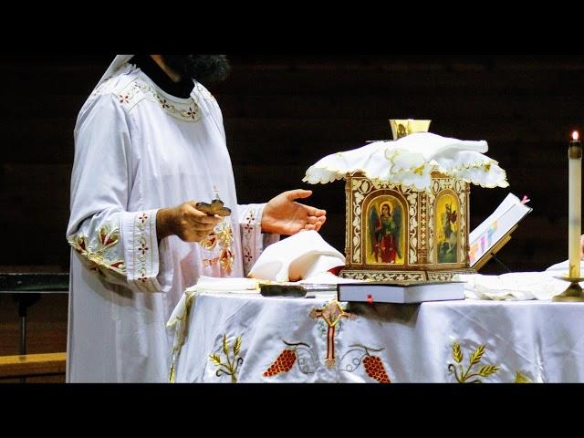 St Luke ACOC Live Stream