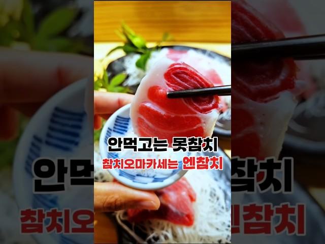 #엔참치 #창원참치맛집 #상남동참치맛집 #상남동참치추천 #창원참치전문점 #참치회 #참치맛집추천#참치 #참치회맛집