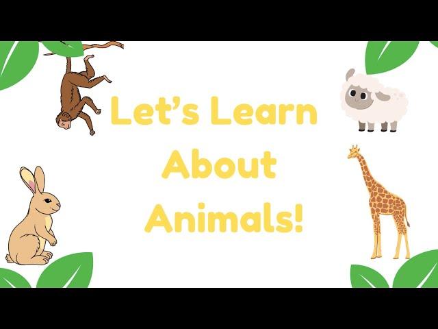 Let’s Learn About Animals! -Toddler Learning- Preschool Kids- KidsLove2Learn