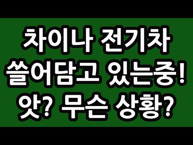 차이나 전기차 쓸어담고 있는중! 앗? 무슨 상황? 중국 주식 주가 전망 TIGER 타이거 ETF SOLACTIVE 테슬라 루시드 아이온큐 TQQQ SOXL TMF