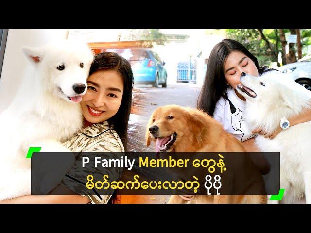 P Family Member တွေနဲ့ မိတ်ဆက်ပေးလာတဲ့ ပိုပို