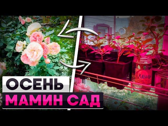 Мамин сад. Осень.