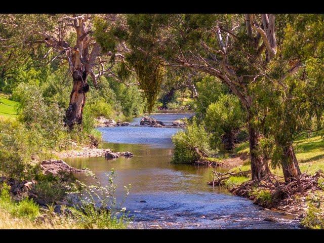 Elders Young | 'Elm Cottage', Tumut