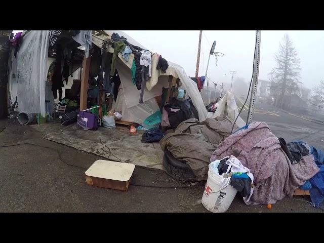 Downtown Olympia, WA January 12th, 2019