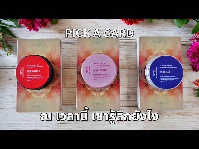 Pick a card ️ ณ เวลานี้ เขารู้สึกยังไง (Timeless)