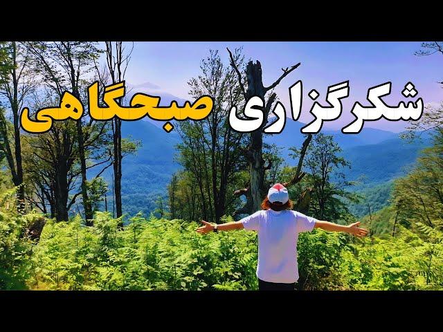 نیایش صبحگاهی برای شروع روز/زیباترین مناجات با خدا شکرگزاری صبحگاهی/ شروع صبح با انرژی مثبت و آرامش