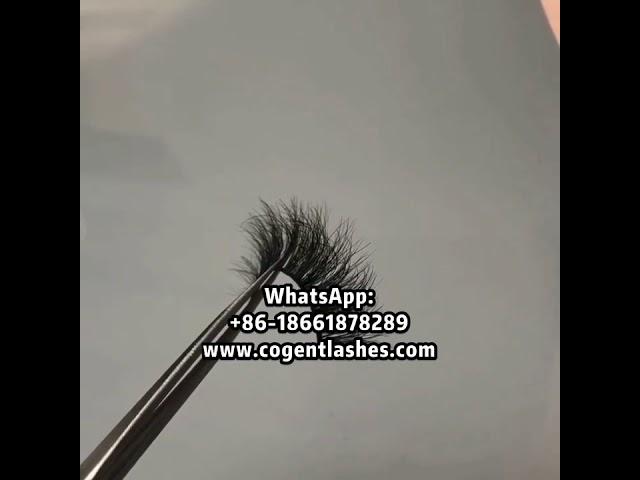 How to use 25mm 3d mink lashes?| mink Lashes&beauty