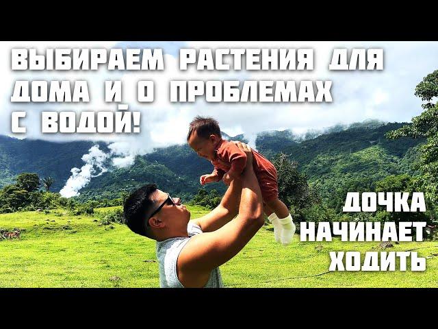 Первые Проблемы На Участке / Архелия Начинает Ходить / Выбираем Растения Для Дома