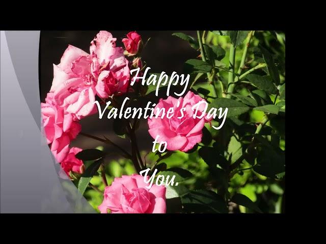 Valentine's Day || JL Productions SA