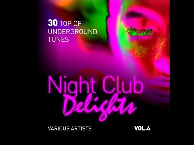 Night Club Delights - 30 Top Of Underground Tunes Vol.4 [Full Album]