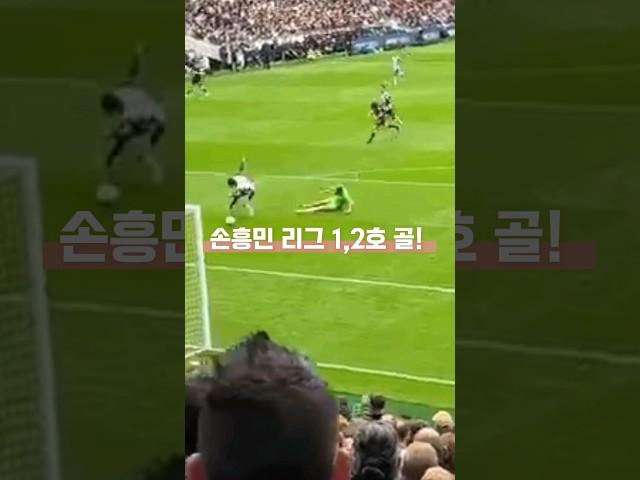 손흥민 리그 1,2호 골! (Son Goal)