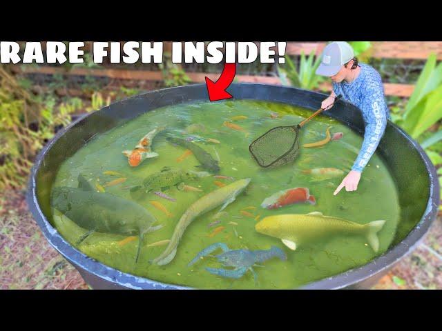 Rare Fish Found LIVING in GREEN SLIME POND!