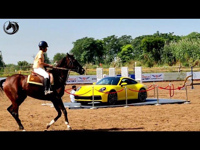 DAY 1 CHANDIGARH HORSE SHOW!