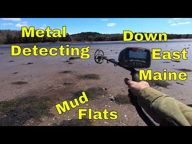 Metal Detecting Mud Flats and Shoreline: Down East Maine