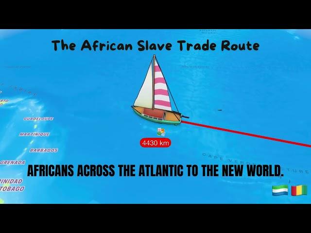 The African Slave Trade: From West Africa to the Caribbean