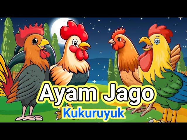 Lagu Anak  Kuku Kukuruyuk - Lagu Ayam Jago Dan pok Ame Ame Cilukba - Lagu Anak Indonesia