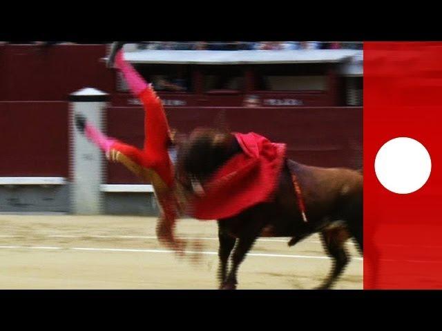 Graphic footage: Three matadors gored in violent Madrid bullfight