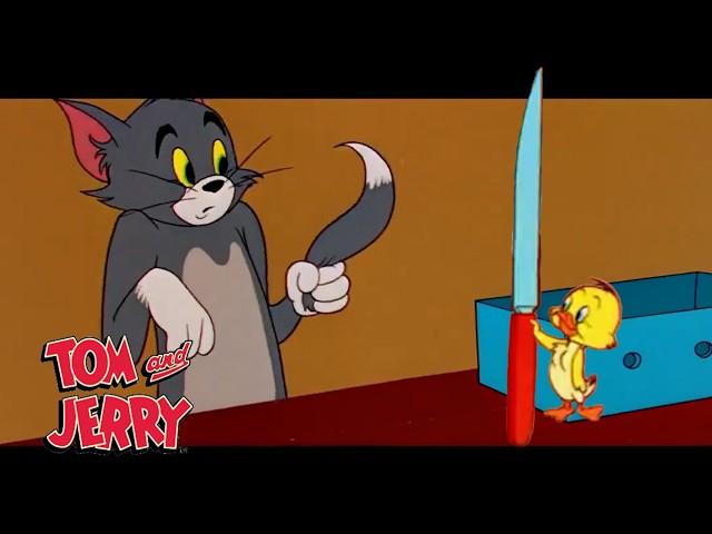 Tom y Jerry se vuelven salvajes | @GenWBLatino