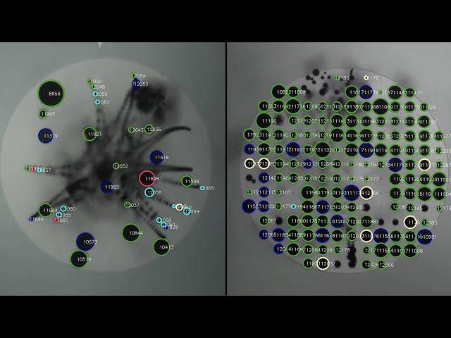 Controlling bubbles for better electrode designs