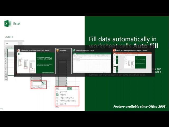 Office 365 - Learning Excel Basics | Strategic Systems Group, Inc. (SSG)