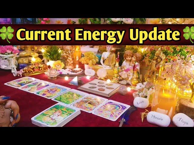 Current Energy UpdateMessages From Your PersonTimeless Tarot Reading️