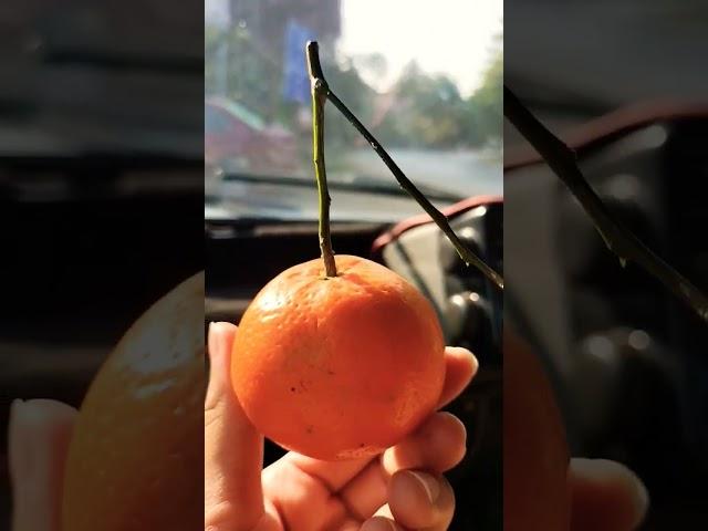 orange time #food #viralshort
