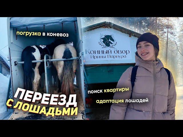  МОЙ ПЕРЕЕЗД С ЛОШАДЬМИ | Поиск квартиры, перевоз вещей, кота и новая конюшня