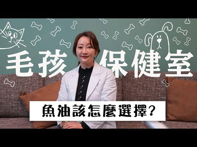 【毛孩保健室】魚油選擇太多了怎麼選擇才正確?｜小姐愛美力