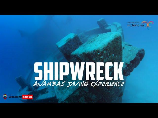 Shipwreck - Anambas Diving Experience