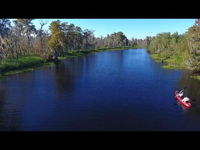 Swamp Tour in New Orleans with Kayaks