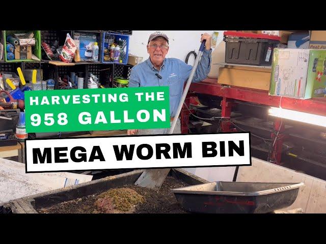 Harvesting a Mega Worm Bin